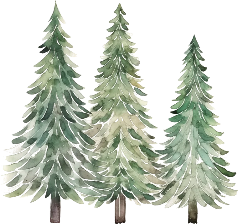 Three tall watercolor evergreen Christmas trees
